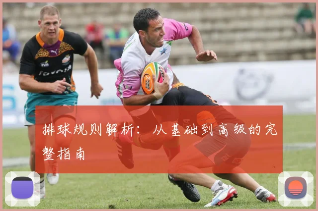 排球规则解析：从基础到高级的完整指南