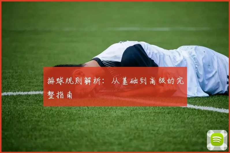 排球规则解析：从基础到高级的完整指南