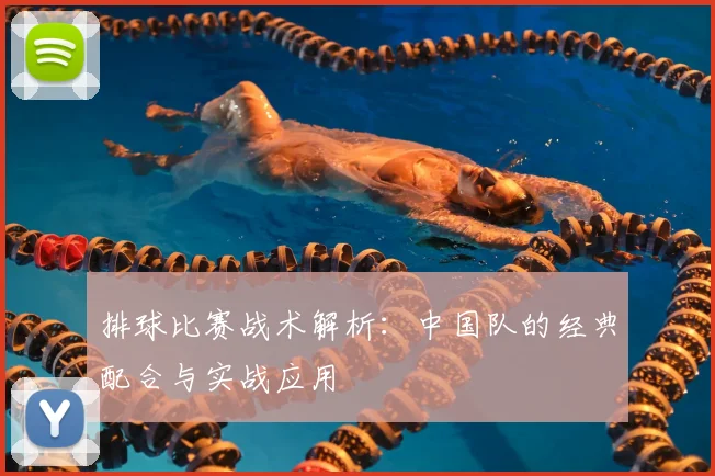 排球比赛战术解析:中国队的经典配合与实战应用